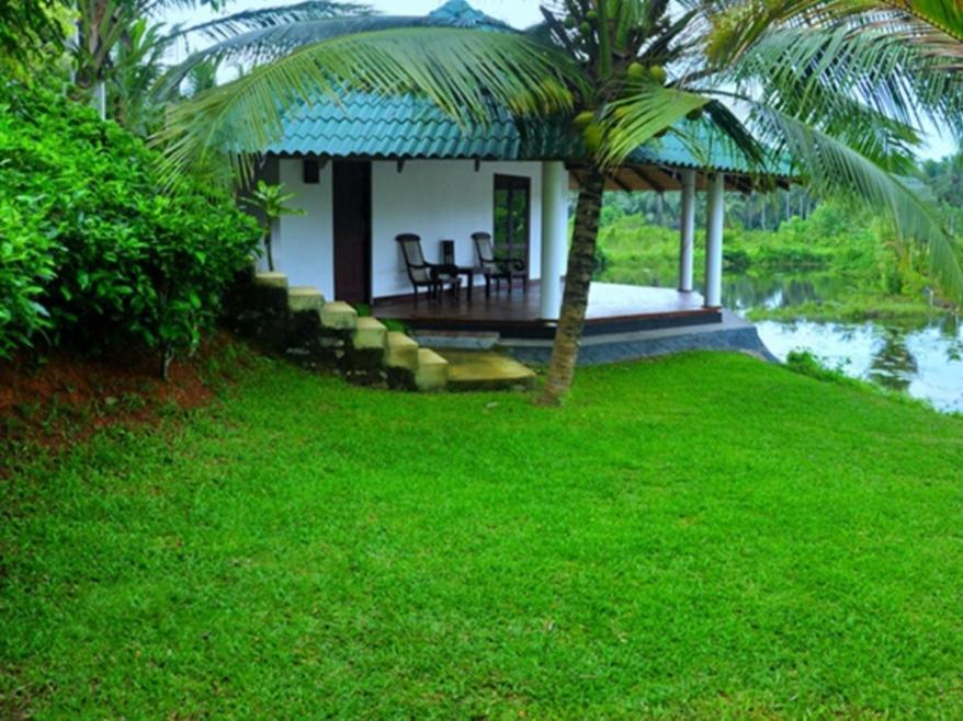 Jungle Heart Cabanas Danwattegoda Exterior foto
