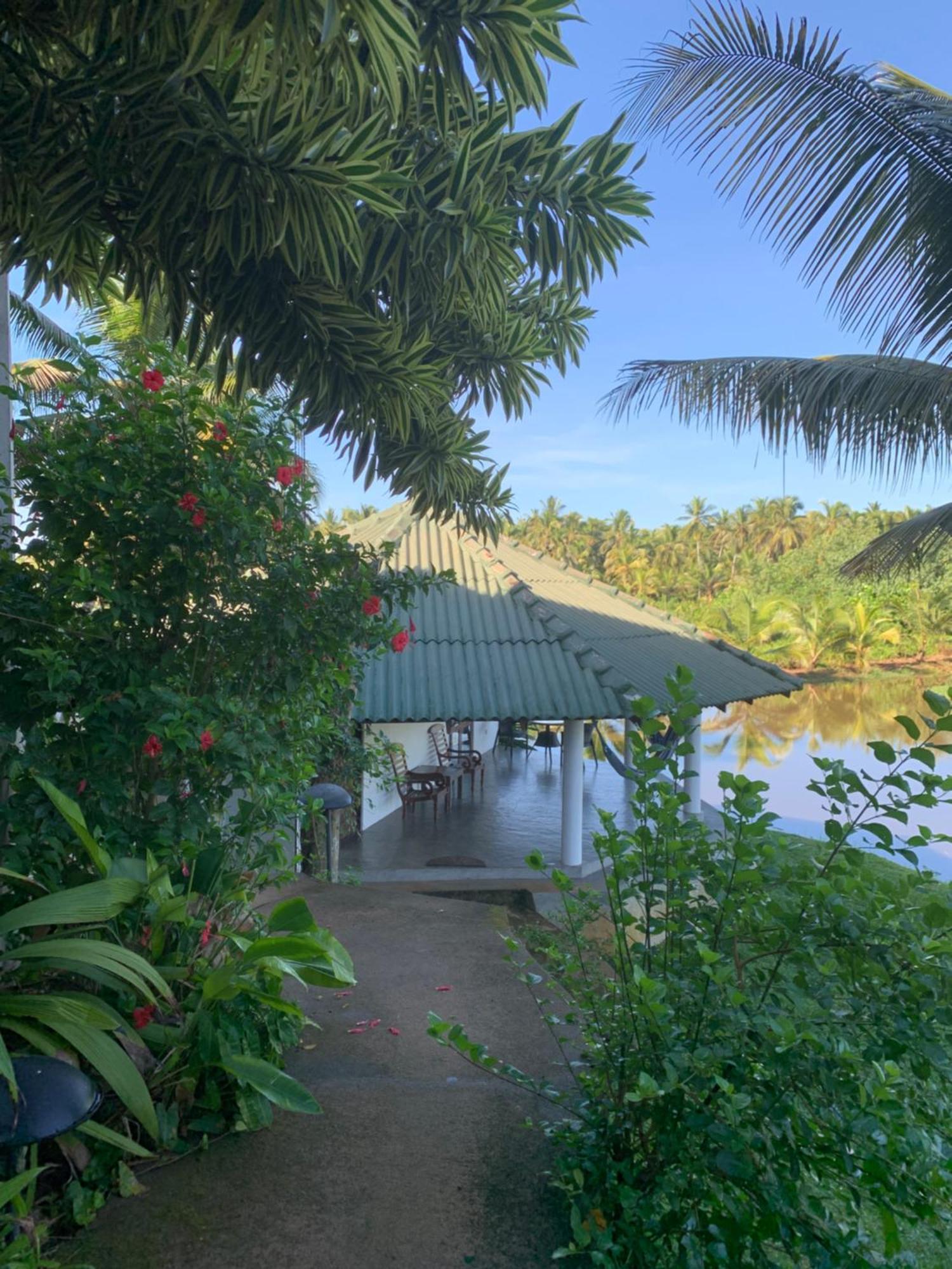 Jungle Heart Cabanas Danwattegoda Exterior foto