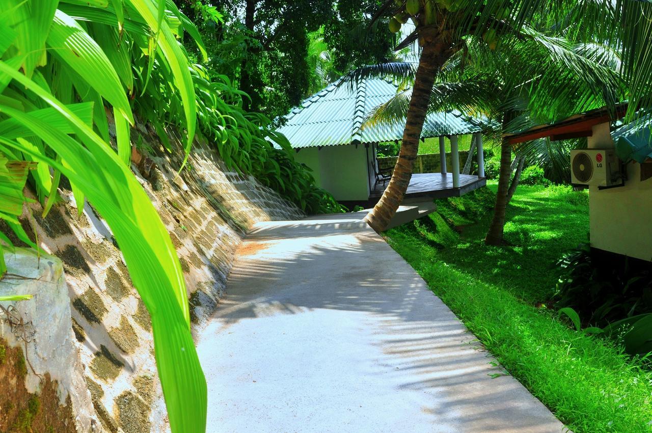 Jungle Heart Cabanas Danwattegoda Exterior foto