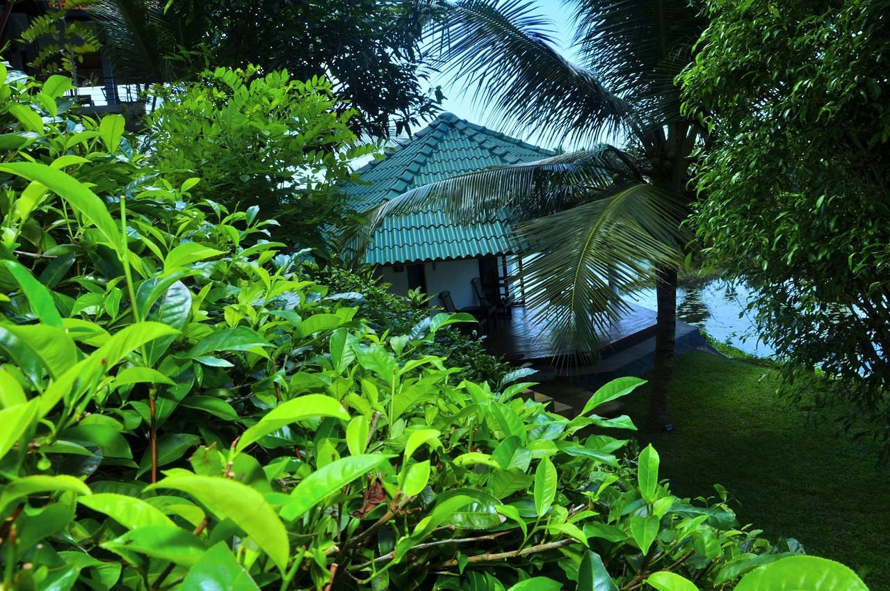 Jungle Heart Cabanas Danwattegoda Exterior foto