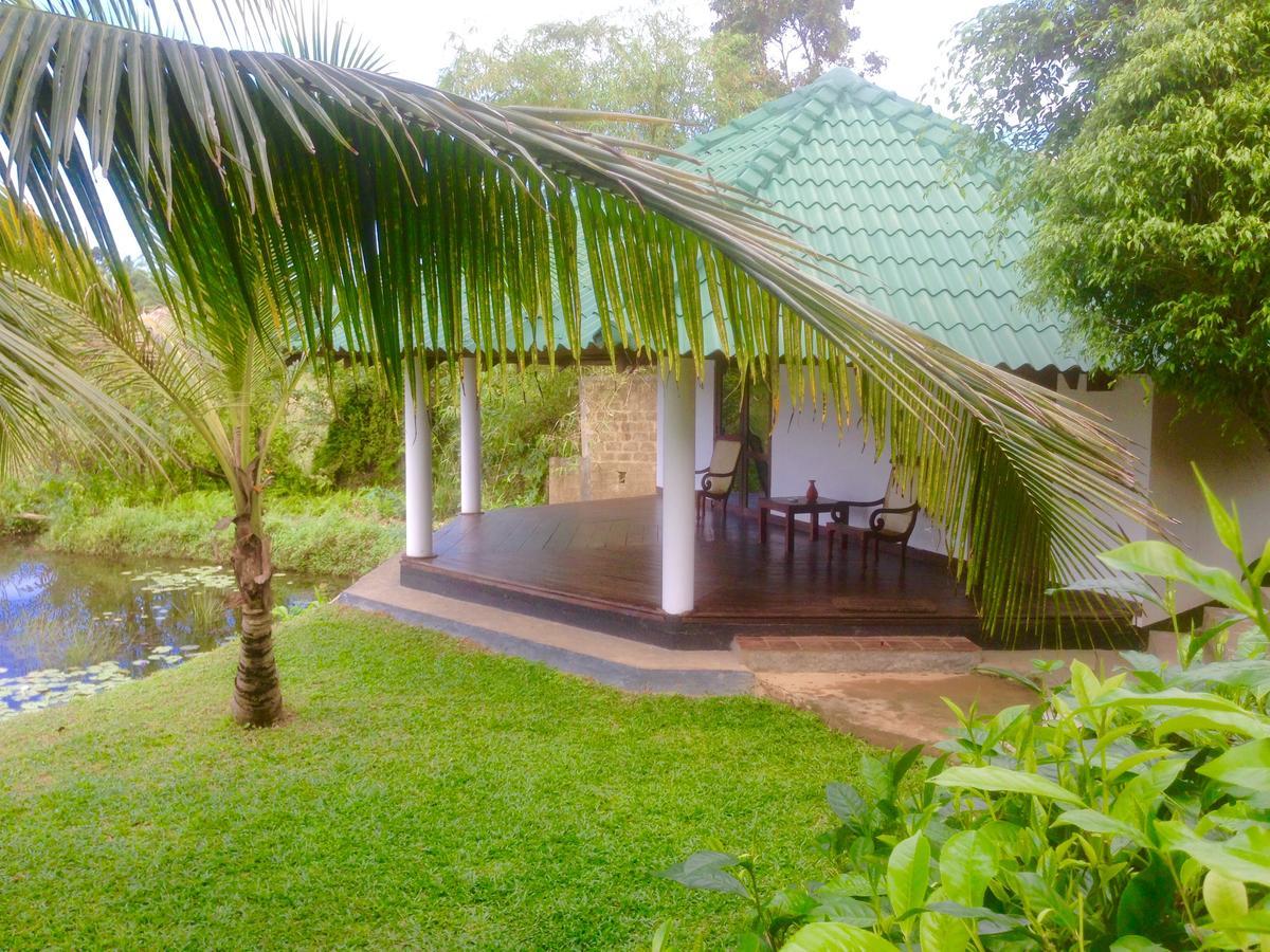 Jungle Heart Cabanas Danwattegoda Exterior foto
