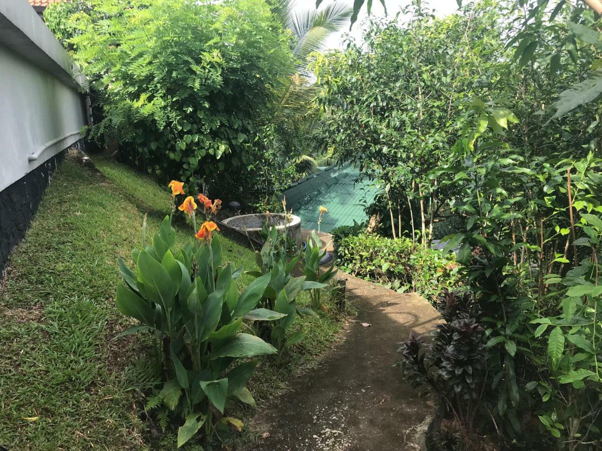 Jungle Heart Cabanas Danwattegoda Exterior foto