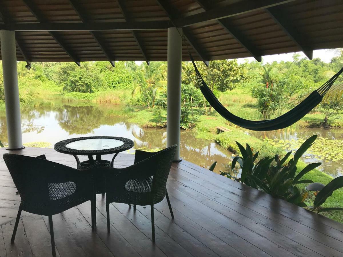 Jungle Heart Cabanas Danwattegoda Exterior foto
